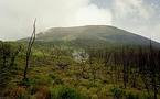 Est de la RDC: dans le parc de Kahuzi-Biega, environ 100 hectares de forêt ont été déboisés au premier trimestre 2026