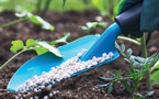​Urée, phosphates et géopolitique : ce que réserve le marché des engrais d'ici 2028