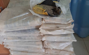 Ourossogui: 200kg de chanvre indien et trois (3) motos saisis 