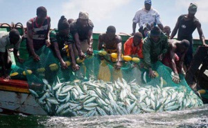 "Les plateformes pétrolières et gazières sont un manque à gagner pour les pêcheurs", (Moustapha Dieng)