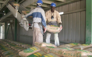 Les douanes gambiennes renoncent à la hausse des droits prélevés sur le ciment sénégalais