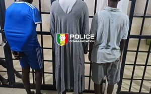 Un gang de voleurs de bétail démantelé entre Nioro du Rip et Kaolack