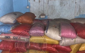 Kolda : un important réseau de faussaires démantelé par la gendarmerie