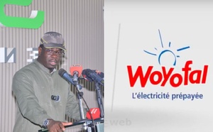  48,5milliards dette de  à la Senelec  : Birame Soulèye Diop annonce des mesures contre les factures impayées et fraudes