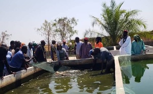 Coopération agricole : une délégation de Fafacourou en immersion au DAC de Séfa