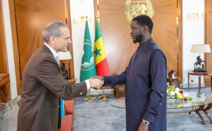 Développement énergétique : le groupe TARANIS présente ses ambitions au Président Diomaye