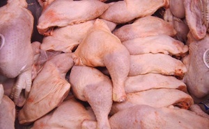 Importation illégale de cuisses de poulet : la filière avicole tire la sonnette d’alarme