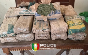 Saly : un contrôle de routine pour port de casque vire à une saisie de 23 kg de chanvre indien