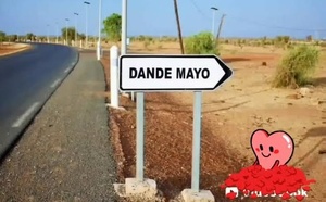 Économie : le Dandé Mayo subit de plein fouet la crise frontalière