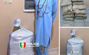 Kaolack : un conducteur de moto « Jakarta » arrêté avec 25 kg de chanvre indien