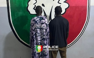 Kaolack : trois individus arrêtés pour "association de malfaiteurs et vol de bétails"