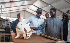 Bassirou Diomaye Faye à la FIARA : le Sénégal trace la voie d’une agriculture résiliente face au changement climatique