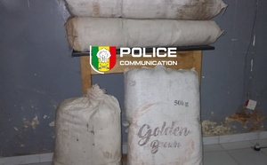 Lutte contre le trafic de drogue : L’OCRTIS démantèle plusieurs réseaux et réalise d’importantes saisies à travers le pays