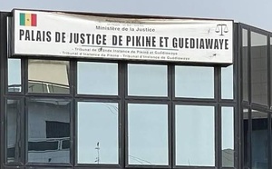 Panique au Tribunal de Pikine : Des serpents s'invitent devant les salles d'audience