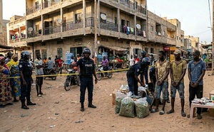 Yeumbeul : un gang de dealers démantelé, quatre pitbulls abattus lors de l'assaut