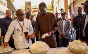 Filière cotonnière : le Président Diomaye Faye salue les progrès et promet un soutien accru aux producteurs