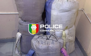 Lutte antidrogue : 108 kg de chanvre indien saisis entre Fatick et Kaolack