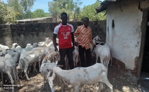 Kolda : 20 jeunes de l’ADC Ninnaba appuyés pour leur autonomisation économique