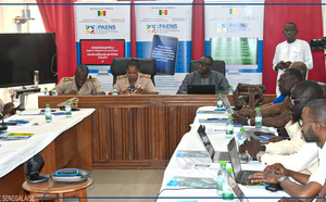 Numérique : Le PAENS va connecter 84 localités de la région de Tambacounda à la 4G
