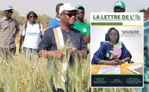 Souveraineté alimentaire : L’Intersyndicale de l’ISRA et de l’ITA alerte sur une crise budgétaire et structurelle « sans précédent »