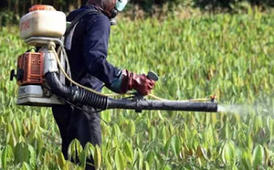 Environnement : PAN Africa lance un projet de 450 millions FCFA contre les pesticides dangereux