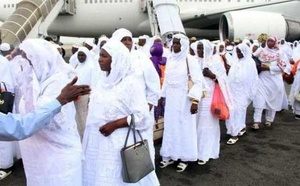 Hajj 2026 : le premier vol retour d’Air Sénégal atterrit à l’AIBD avec 417 pèlerins à bord