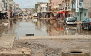 Adaptation au changement climatique  : le Sénégal et la Guinée Bissau décrochent un appui  de 12 milliards CFA du FEM
