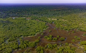 ​  Biodiversité : Un nouveau souffle de 765 millions CFA pour la préservation du parc national de Niokolo-Koba