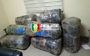 Guéréo : près de 245 kg de chanvre indien saisis par la Police