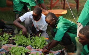 Matam : l’agronome Pape Samba Sow préconise l'engrais organique pour booster l'agroécologie