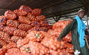 ​Approvisionnement des marchés :  130 000 tonnes, le volume total de stocks d'oignons et de pommes de terre sécurisés pour les fêtes religieuses