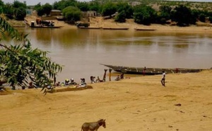 Fleuve Sénégal : Baisse générale des niveaux d’eau, la situation sous contrôle à la mi-août