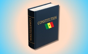 Transparence institutionnelle : l'obligation de déclaration de patrimoine bientôt inscrite dans la Constitution