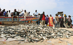 ​Dakar: un pêcheur de Yoff porté disparu après de  violents vents
