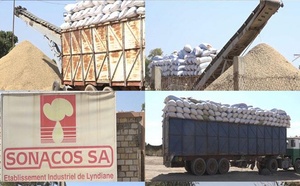 Agro-industrie : le DG de la Sonacos annonce un complexe de 18,75 milliards de F CFA à Médina Yoro Foulah