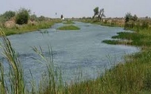 Réserve de biosphère du Delta du Sénégal : un plan de 8,5 milliards FCFA a été présenté à Saint-Louis