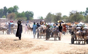 ​Global Peace Index 2026 : la Gambie et le Sénégal en tête, le Sahel sous tension