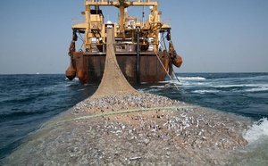 Licences de pêche : la commission d’enquête parlementaire débute ses auditions ce mercredi 7 octobre 2026