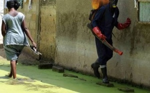 Touba : une vaste opération de désinsectisation pour lutter contre le paludisme