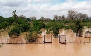Inondations au Sénégal: les producteurs de riz craignent une destruction de leurs récoltes