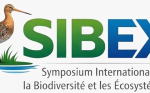 ​Conservation de la biodiversité : Saint-Louis accueillera le SIBEX du 9 au 11 novembre 2026
