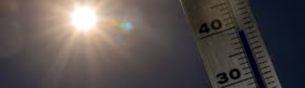Juillet 2016 a été le mois le plus chaud de l'histoire (experts américains)