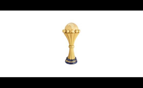 LA COUPE D'AFRIQUE DES NATIONS EN QUELQUES CHIFFRES