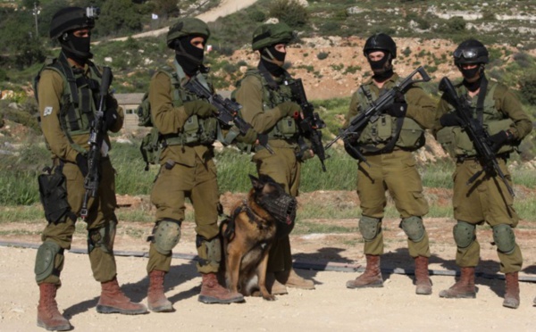 Un journal suédois accuse l'armée israélienne de trafic d'organes de Palestiniens