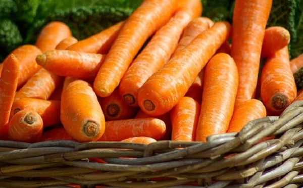 Quelques aliments anti-cancer