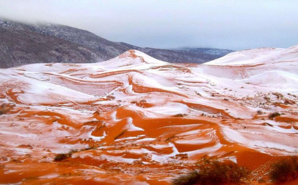 EN IMAGES. Les dunes du Sahara sous la neige pour la première fois depuis 37 ans