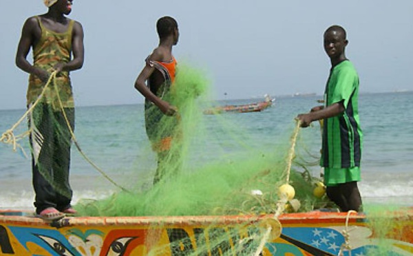 Mauritanie: faute d'accord, les pêcheurs sénégalais sont au chômage technique