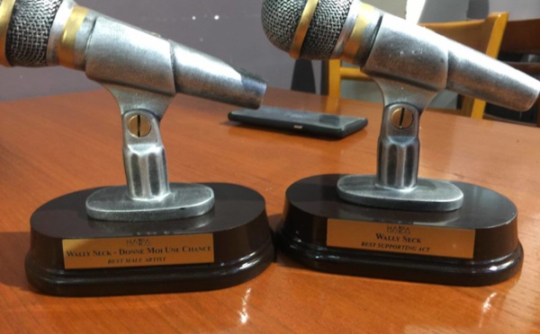 HAPA AWARDS 2017 : Wally Ballago Seck remporte deux trophées, Viviane Chidid récompensée 