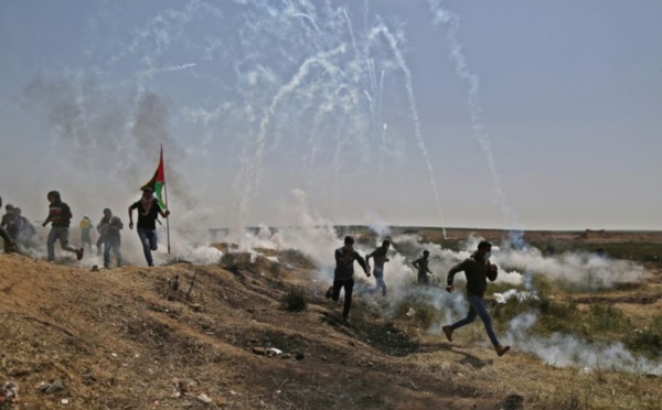 ​ 2 Palestiniens tués et 250 blessés par des soldats israéliens