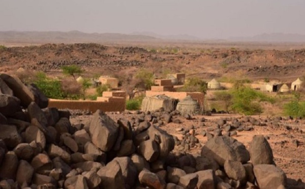 ​Trois tonnes de cannabis saisies à Niamey